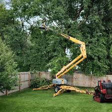 Best Artificial Turf Installation  in Seatac, WA